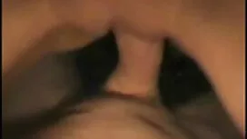 Seksi seksivideoita  ...