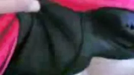 Amatööri, Iso seksi  ...