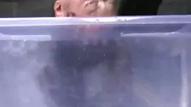 Kaksi naista kauneim ...