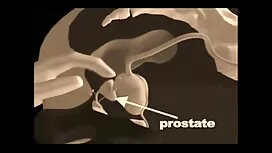 Dick seksi videot