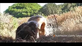 Äiti harrastaa seksi ...