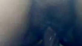 Shay ylilauta seksi  ...