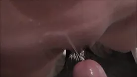 Seksiunelmat toteutu ...