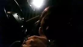 Kaunis hieroja ilmai ...
